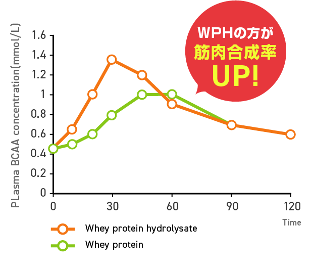 通常のプロテイン（WPC）との比較　WPHの方が筋肉合成率UP!
