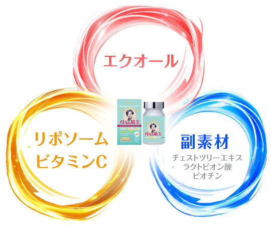 エクオール リポソームビタミンC 副素材(チェストツリーエキス、ラクトビオン酸、ビオチン)