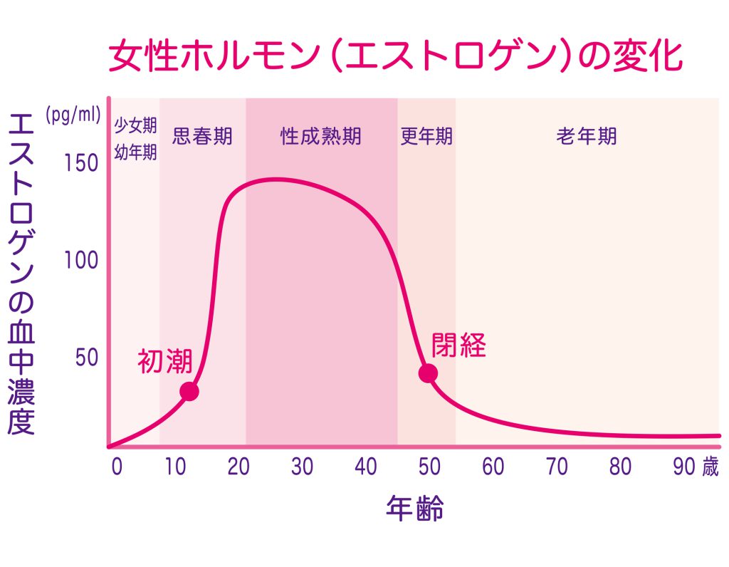 女性ホルモン量の変化グラフ